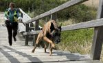 Intensivtage am 26.09. und/oder am 27.09.2026
