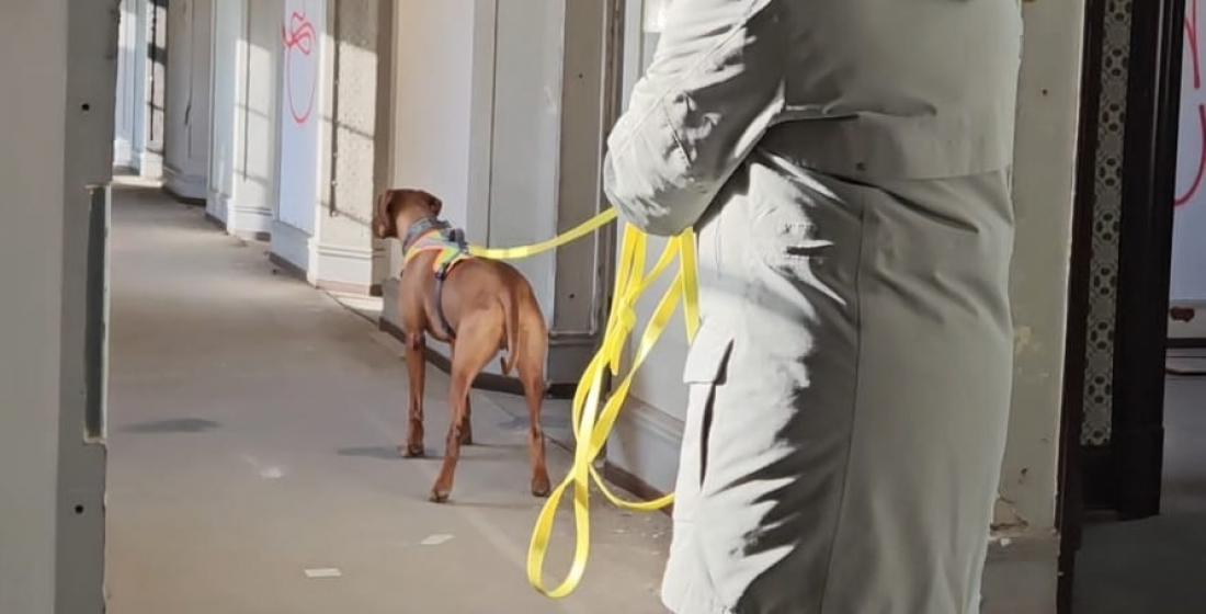 MT- Spezial: Leinenhandling